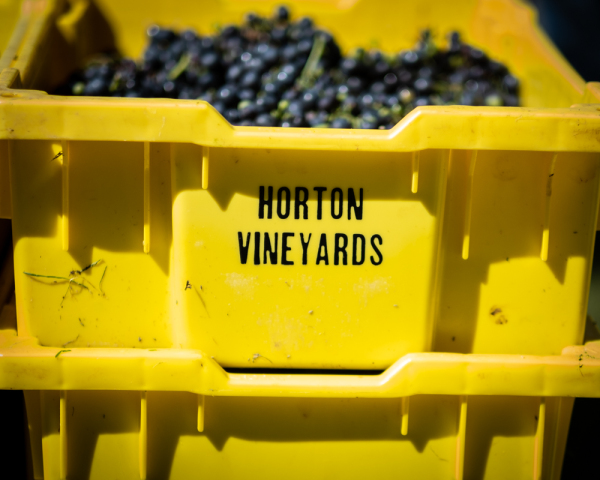 Picture of The Winegrowers of Horton and Early Mountain Vineyards